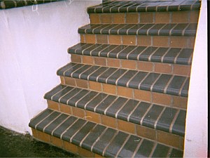 Photo 51